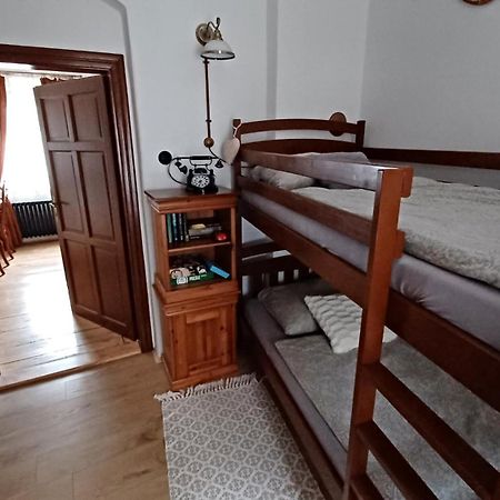 Zlata Leta - Apartmanovy Dum Jáchymov Dış mekan fotoğraf