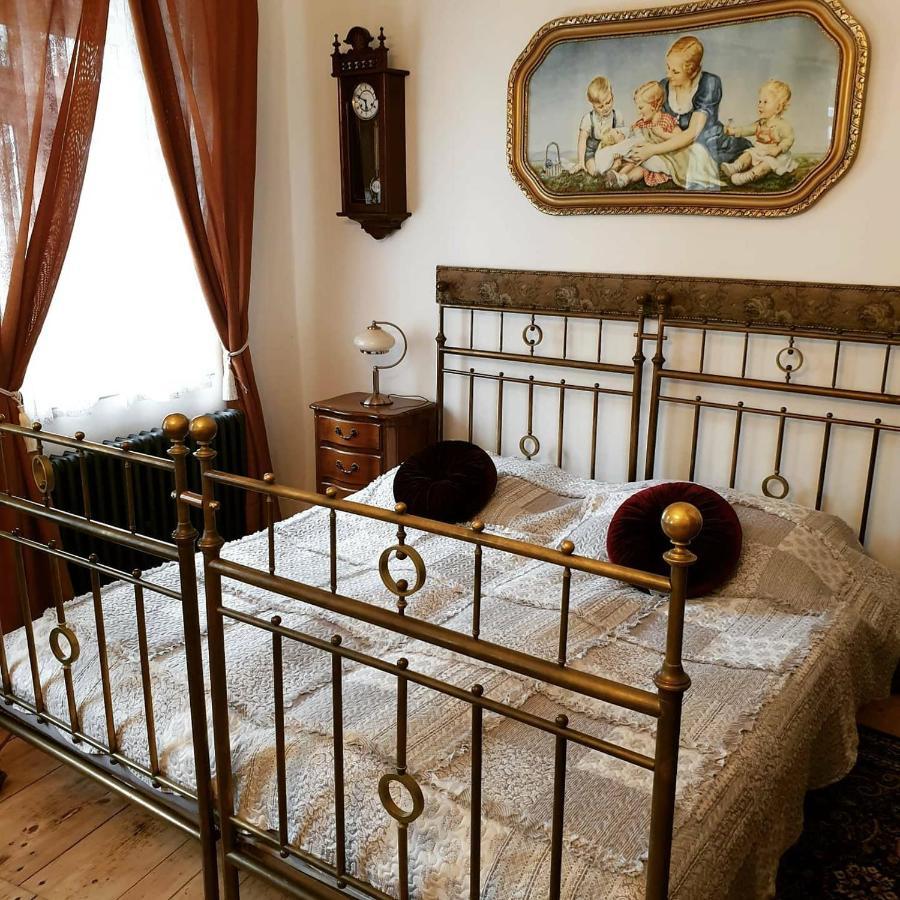 Zlata Leta - Apartmanovy Dum Jáchymov Dış mekan fotoğraf