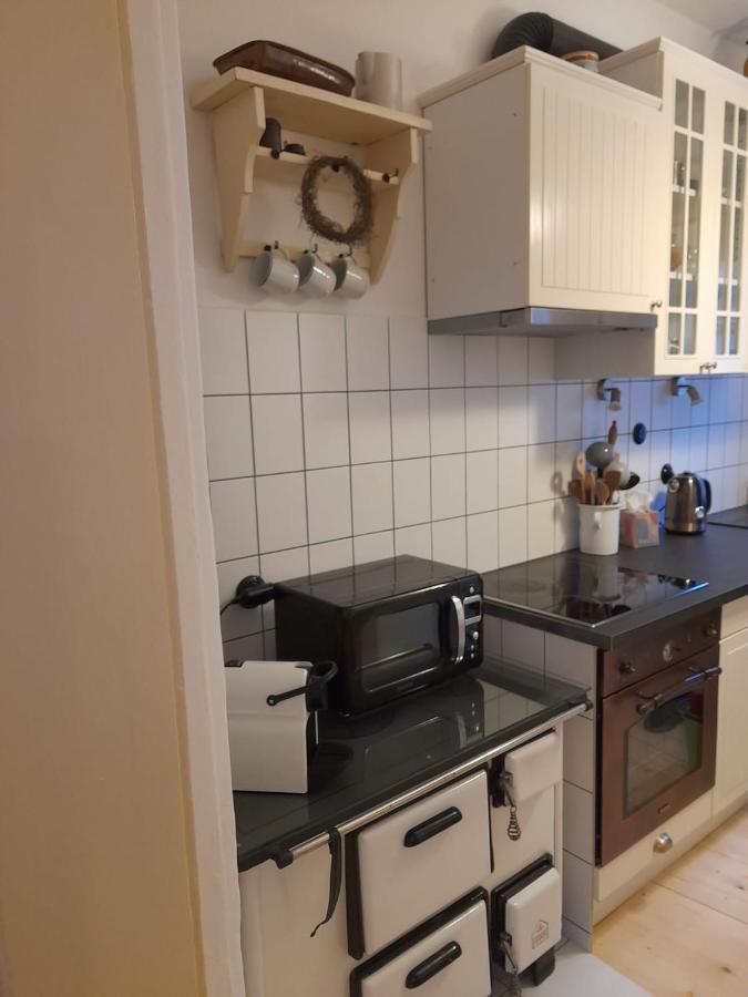 Zlata Leta - Apartmanovy Dum Jáchymov Dış mekan fotoğraf