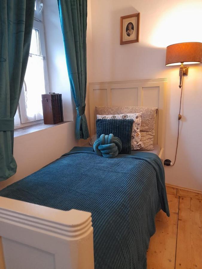 Zlata Leta - Apartmanovy Dum Jáchymov Dış mekan fotoğraf