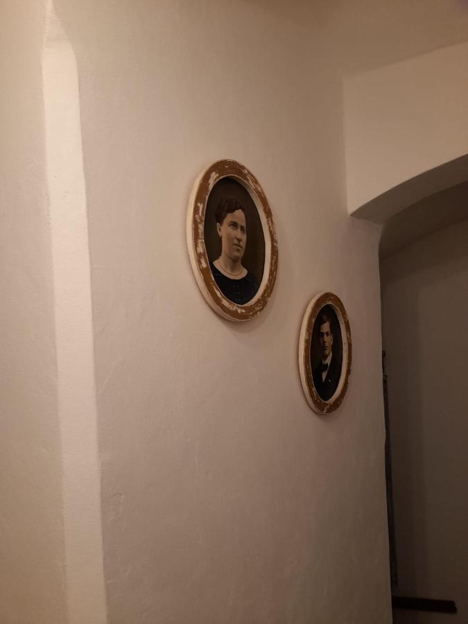 Zlata Leta - Apartmanovy Dum Jáchymov Dış mekan fotoğraf