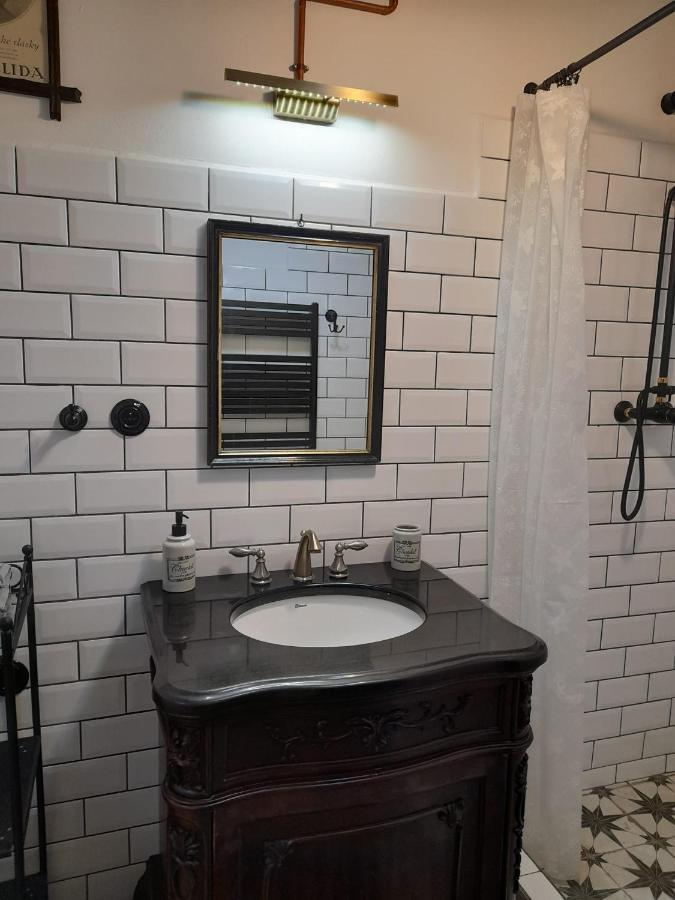 Zlata Leta - Apartmanovy Dum Jáchymov Dış mekan fotoğraf