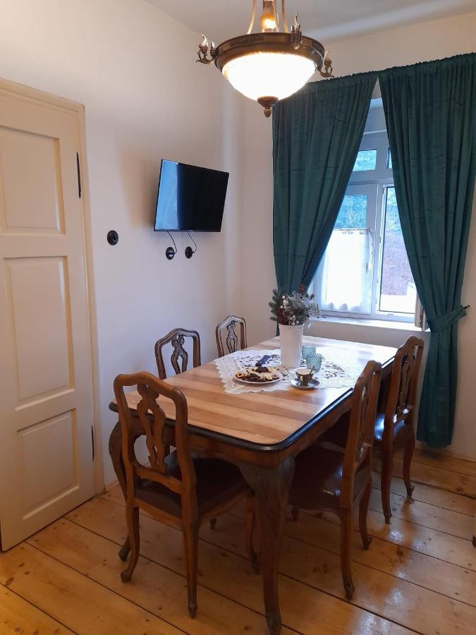 Zlata Leta - Apartmanovy Dum Jáchymov Dış mekan fotoğraf