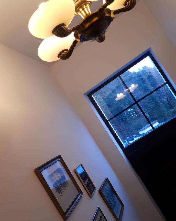 Zlata Leta - Apartmanovy Dum Jáchymov Dış mekan fotoğraf