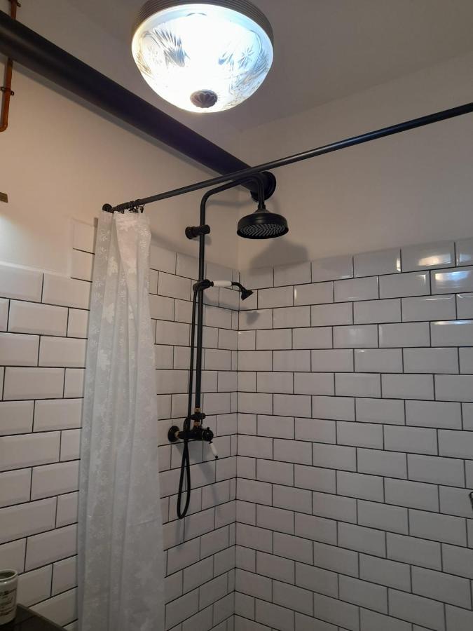 Zlata Leta - Apartmanovy Dum Jáchymov Dış mekan fotoğraf