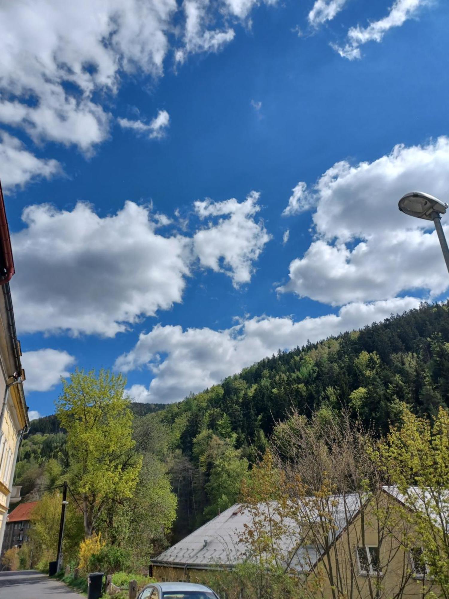 Zlata Leta - Apartmanovy Dum Jáchymov Dış mekan fotoğraf